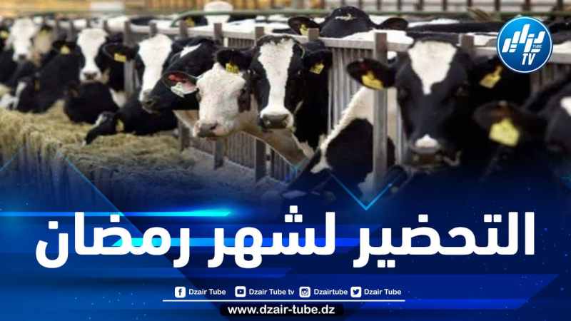 تحسبا لشهر رمضان…إستيراد 4000 رأس بقر مخصصة للذبح
