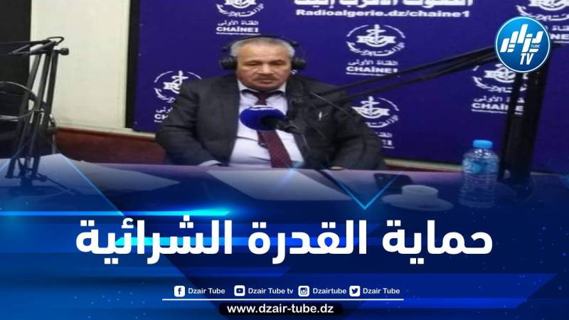 خبير اقتصادي: قرار تجميد الضرائب والرسوم يهدف لحماية القدرة الشرائية للمواطن