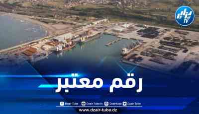 ميناء جن جن يسجل ارتفاعا قدره 7.3 مليون طن في حجم السلع المتبادلة 