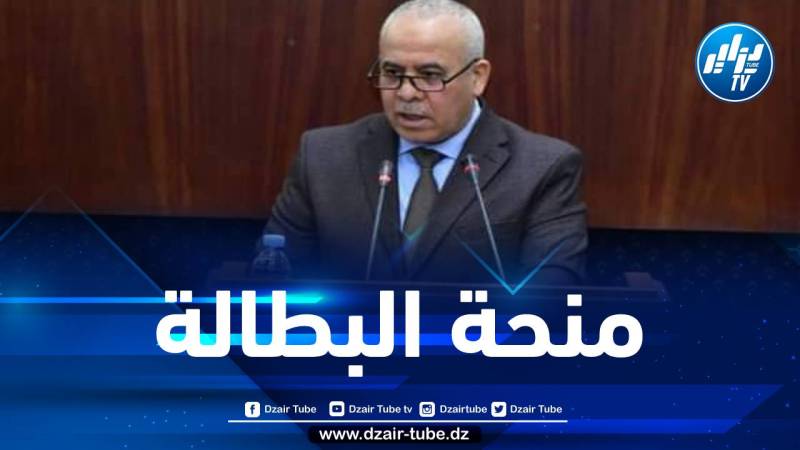 وزير العمل يكشف تفاصيل منحة البطالة وتاريخ بداية صبها