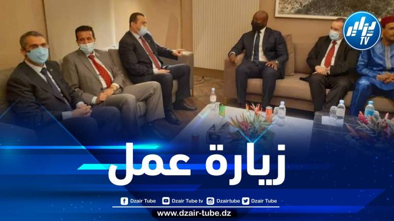وزير الطاقة والمناجم في زيارة عمل إلى النيجر