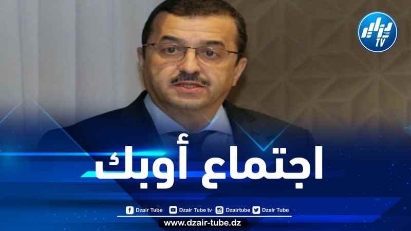 عرقاب يشارك في الإجتماع الوزاري الـ 25 لأوبك غدا الأربعاء