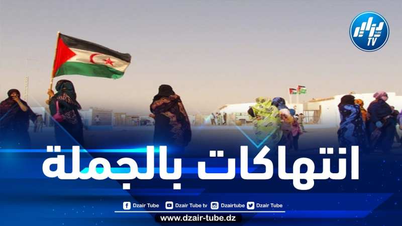 مجموعة دولية تنتقد موقف مفوضية الأمم المتحدة لحقوق الإنسان إزاء الوضع في الصحراء الغربية