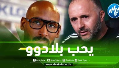 أنيلكا مدافعا عن بلماضي : لقد منح حياته للجزائر