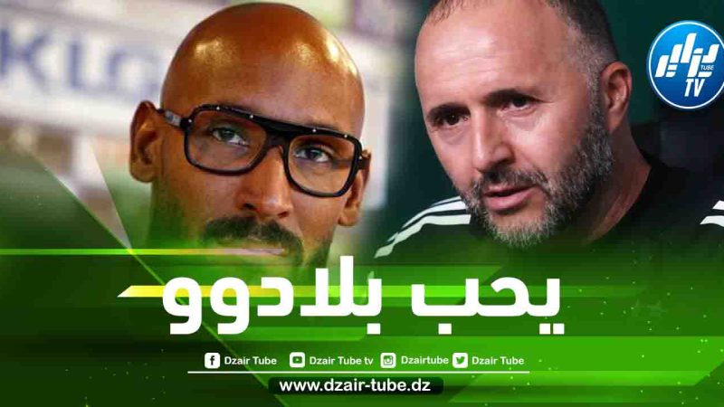 أنيلكا مدافعا عن بلماضي : لقد منح حياته للجزائر