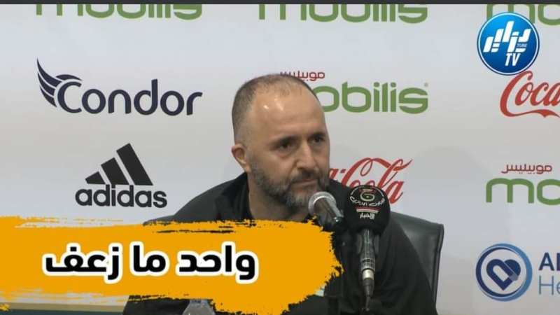 بالفيديو: جمال بلماضي  :”هكذا كان رد فعل اللاعبين الذين لم أوجه لهم الدعوة لمواجهة الكاميرون”…
