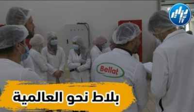 بالفيديو: بلاط إلى العالمية  .. عمل محترف بمعايير دولية و جودة لخدمة الذوق الراقي