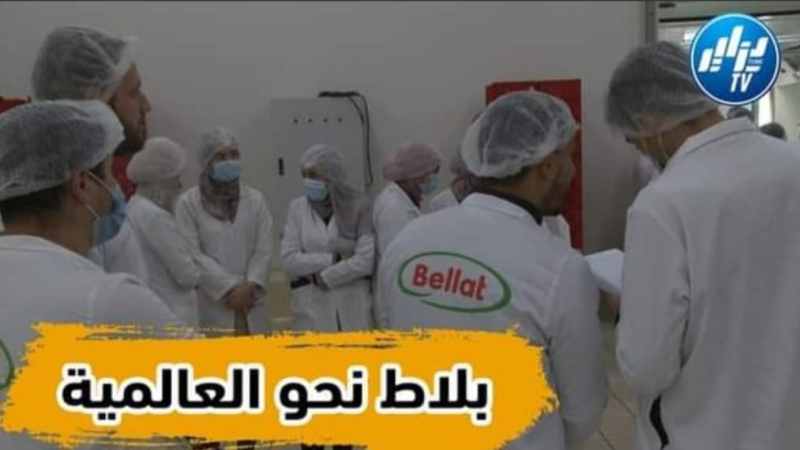 بالفيديو: بلاط إلى العالمية  .. عمل محترف بمعايير دولية و جودة لخدمة الذوق الراقي