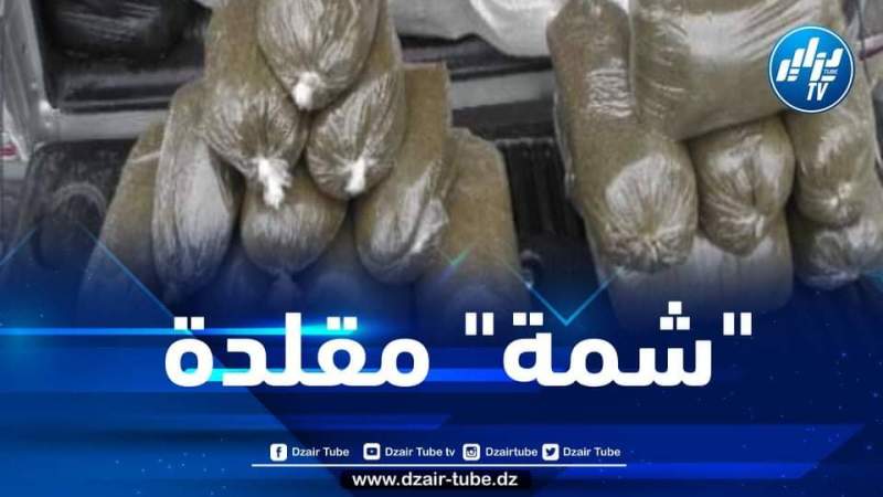 الشلف: أمن بن سونة يضبط أزيد من 10 آلاف كيس من “الشمة” المقلدة