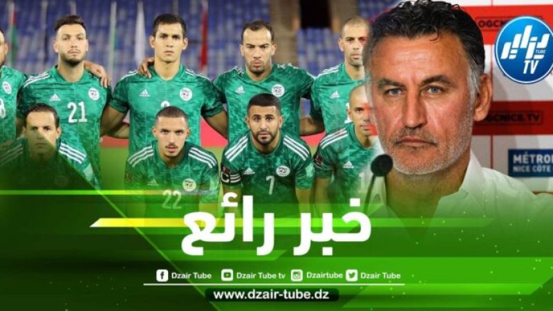 مدرب نيس يزف أخبارا سارة للمنتخب الجزائري