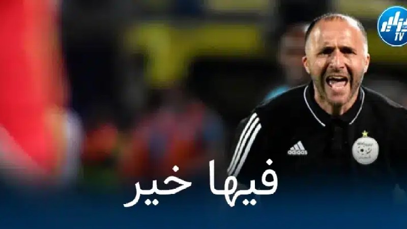 4 لاعبون يثيرون قلق بلماضي قبل مباراة الكاميرون
