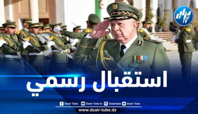 الفريق شنقريحة يستقبل مدير المصلحة الفيدرالية للتعاون العسكري والتقني لروسيا