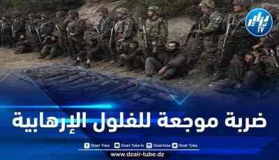 وزارة الدفاع تكشف عن أسماء وصور الإرهابيين المقبوض عليهم بسكيكدة
