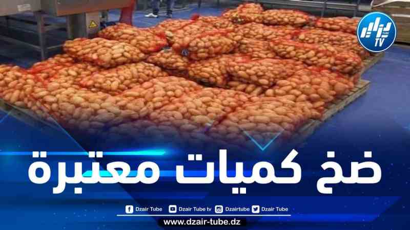 تسويق 15 ألف طن من مادة البطاطا الأسبوع المقبل لكسر الأسعار