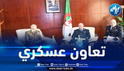 الأمين العام لوزارة الدفاع يستقبل نظيره الإيطالي