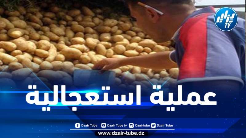 مقراني: استيراد 30 ألف طن من البطاطا كمرحلة أولى تحسبا لشهر رمضان
