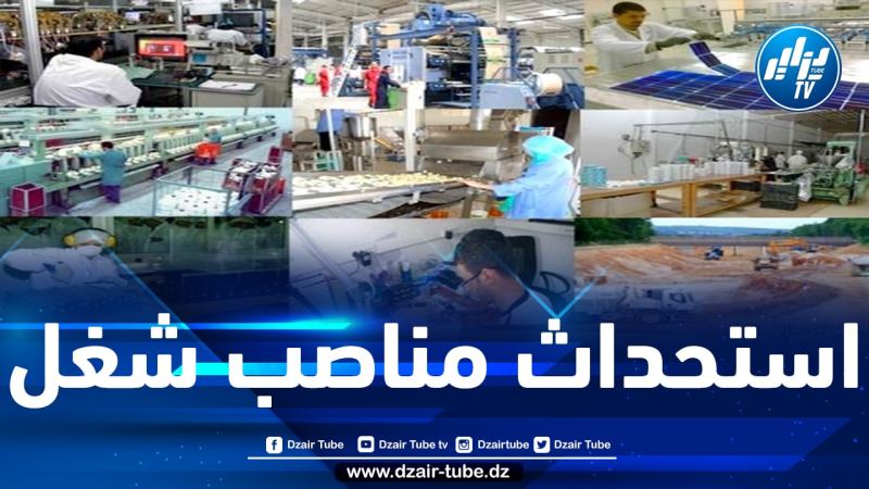 بعد رفع العراقيل عنها.. 589 مشروعا يدخل حيز الاستغلال الفعلي