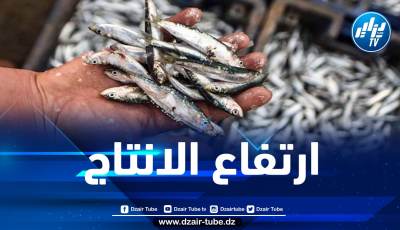 ارتفاع إنتاج السردين  خلال 2021 إلى حوالي 30 ألف طن