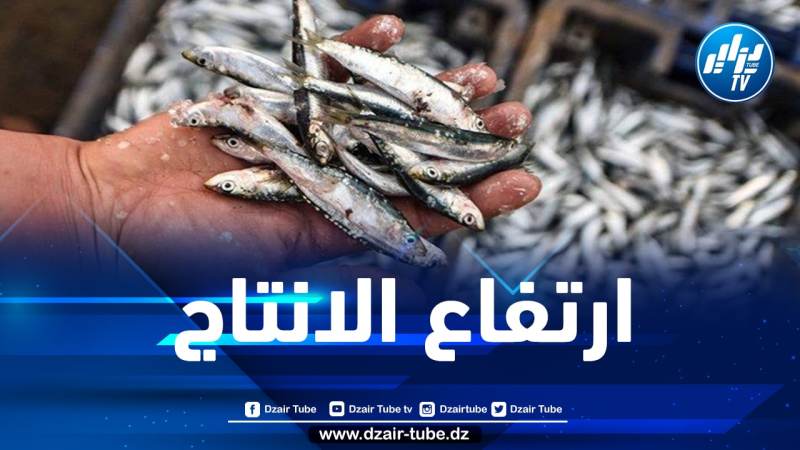 ارتفاع إنتاج السردين  خلال 2021 إلى حوالي 30 ألف طن