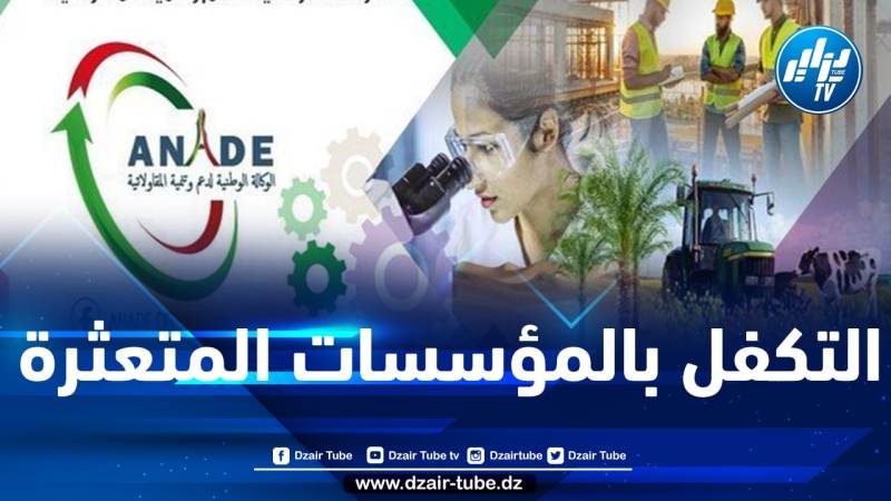 في إطار إعادة بعث جهاز “أناد”… عقد جلسة العمل السابعة المخصصة لولاية تيبازة
