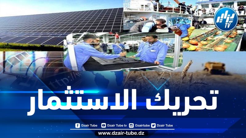 الحكومة ترفع التجميد عن جميع الملفات الاستثمارية المتواجدة على طاولة الوكالة الوطنية لتطوير وترقية الاستثمار