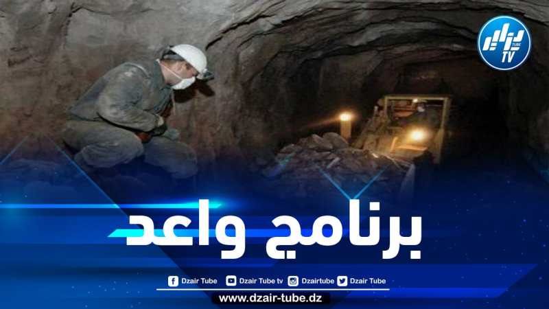 عرقاب يكشف عن عدد المشاريع في مجال البحث والاستكشاف المنجمي