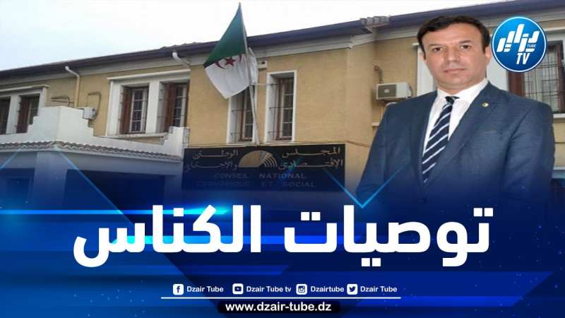 من توصيات “الكناس” لرئيس الجمهورية: الفصل في بطاقة الفنان وإعادة تقييم مهنة الفنانين