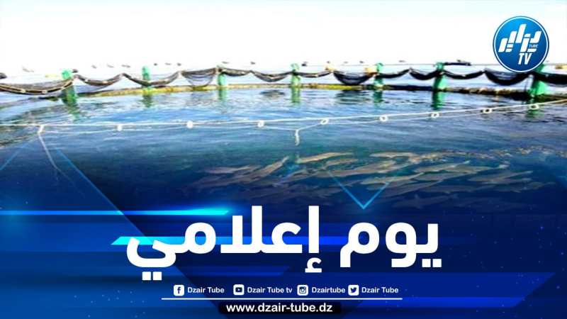 وزارة الصيد البحري تدعو الشباب إلى التقرب من مصالحها للانخراط في برنامج من 2000 مشروع ممول