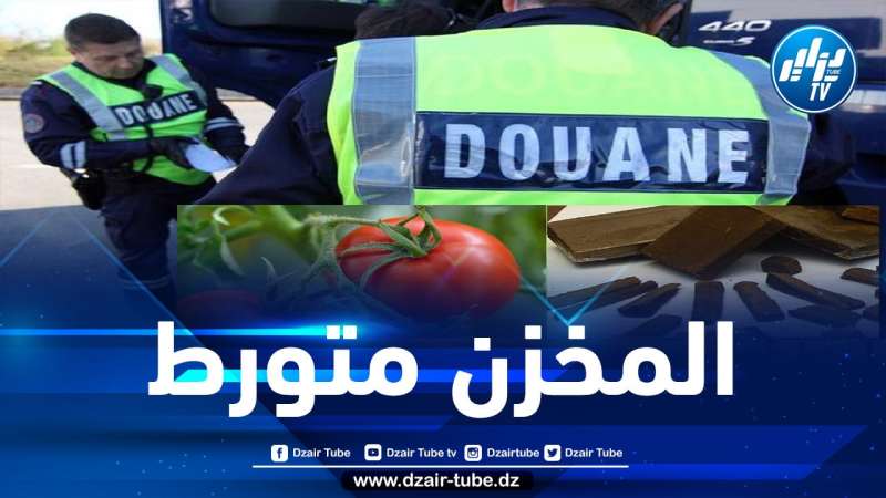 تهريب 22 طنا من الحشيش داخل طماطم عبر ميناء طنجة المغربية باتجاه أوروبا