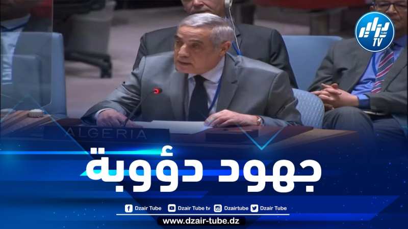 المندوب الدائم لدى الأمم المتحدة نذير العرباوي يؤكد أمام مجلس الأمن دعم الجزائر غير المشروط للقضية الفلسطينية