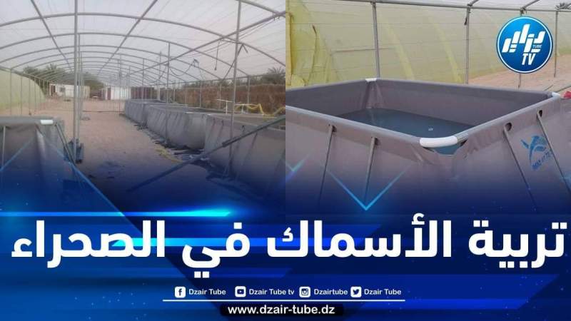 تركيب أحواض مائية لتربية الأسماك بالصحراء وتنظيم عمليات بيع من المنتج إلى المستهلك