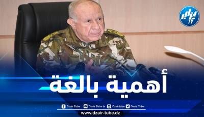 الفريق شنقريحة: التفوق الجوي كان ولا يزال متطلبا عملياتيا مهما بالنسبة لنا