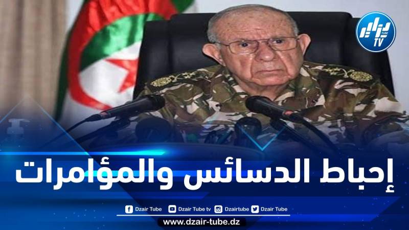 الفريق شنقريحة: الجزائر بحاجة إلى توحيد جهود أبنائها المخلصين لإحباط ما يحاك ضدها