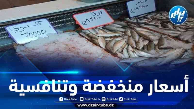 تاركا بصمة إيجابية في السوق الوطنية… قطاع الصيد البحري يسوق منتجاته بأسعار منخفضة وتنافسية عبر الوطن