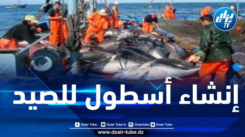 بلعسل:  لأول مرة…بناء ثلاثة سفن صيد بسواعد وتقنيات جزائرية مائة بالمائة