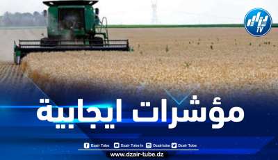 توقعات بتحقيق أزيد من 2.2 مليون طن من القمح هذا الموسم