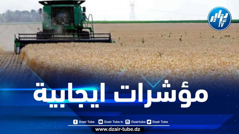 توقعات بتحقيق أزيد من 2.2 مليون طن من القمح هذا الموسم