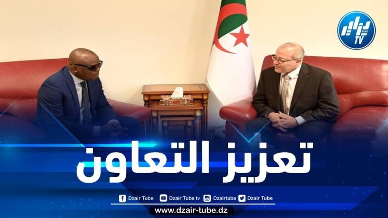 تعزيزا للتعاون الإعلامي بين الجزائر وإفريقيا…إنشاء مركز تبادل الأخبار والبرامج