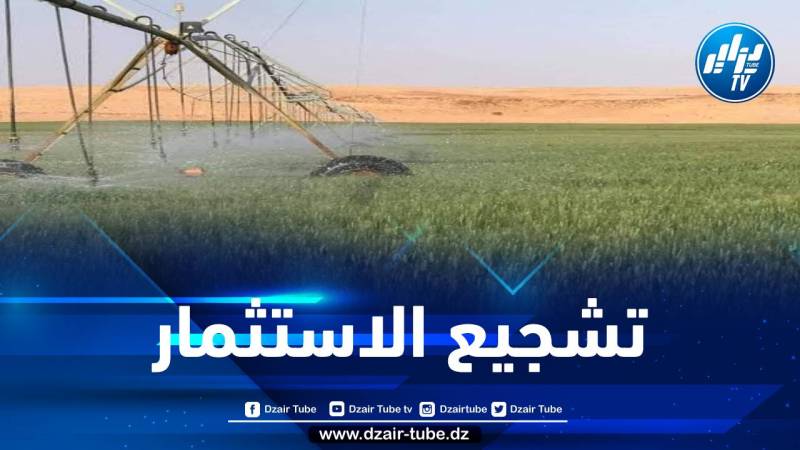 طرح 85 ألف هكتار أمام المستثمرين في مجال الزراعات الإستراتيجية