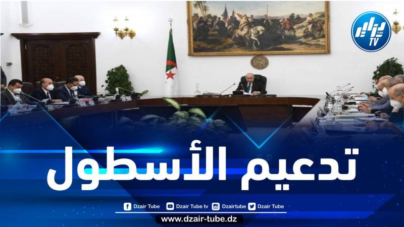 الترخيص للجوية الجزائرية بشراء 15 طائرة لفتح خطوط جديدة