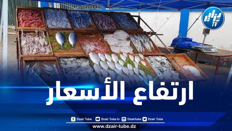 صلواتشي يكشف عن أسباب ارتفاع سعر الأسماك