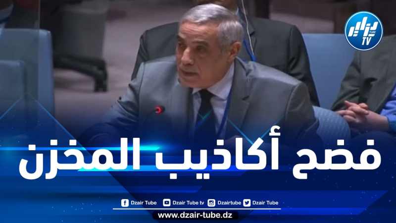السفير العرباوي يفضح أكاذيب المخزن المغربي ويلزم المندوب المغربي حدوده