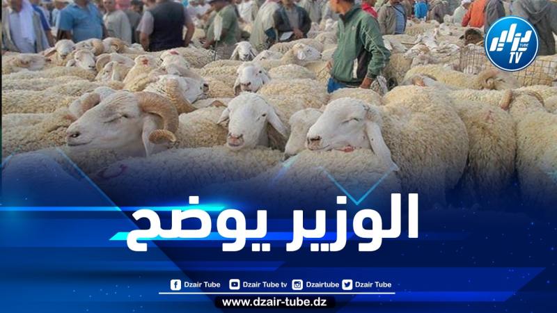 وزير الفلاحة يوضح بخصوص أسعار المواشي