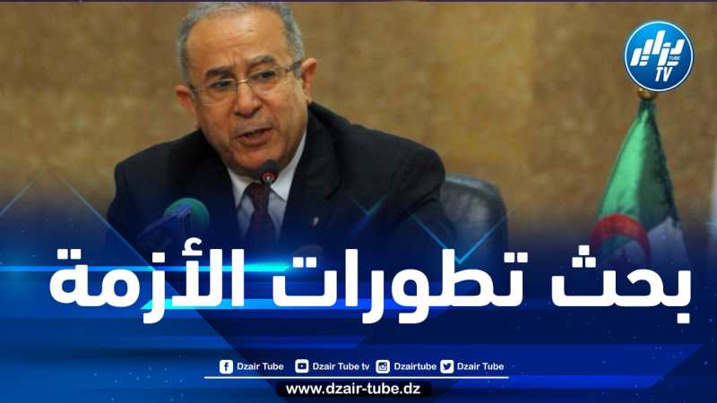لعمامرة يشارك في اجتماع مجموعة الاتصال العربية حول الأزمة في أوكرانيا