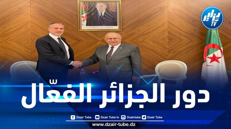 لعمامرة يستقبل المدير التنفيذي لمبادرة إدارة الأزمات التابعة لمؤسسة مارتي آتيساري للسلام الفلندية