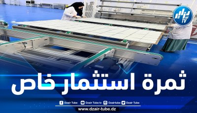 مصنع لإنتاج الألواح الشمسية يدخل حيز الخدمة بولاية ورقلة