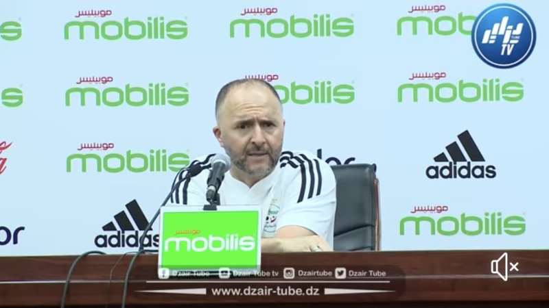 بالفيديو: جمال بلماضي… نظرتي تختلف على نظرتكم لأن في المنتخب لا توجد هدية