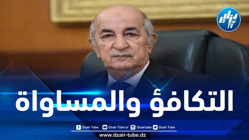 الرئيس تبون: ضرورة السعي نحو إقامة نظام اقتصادي يضمن التكافؤ والمساواة بين الدول