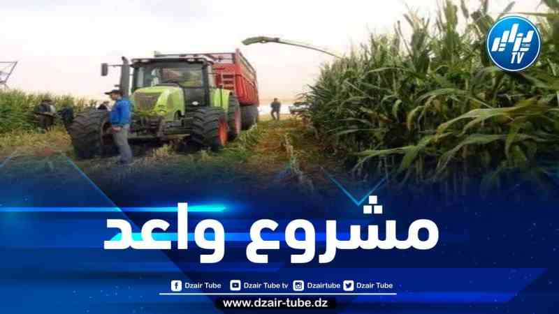 مشروع جزائري أمريكي لإنتاج الأعلاف الحيوانية بالمنيعة 