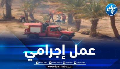 إتلاف 250 نخلة بورقلة… والمصالح الأمنية توقف الفاعلين